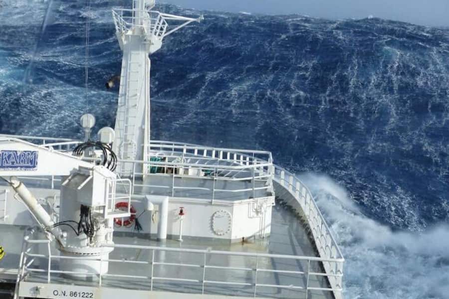 Glacier 51 Toothfish, Schwarzer Seehecht, Austral Fisheries