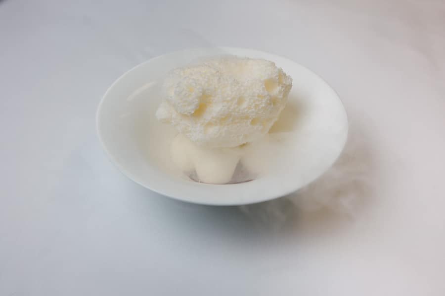 Koralle Peter Gilmore