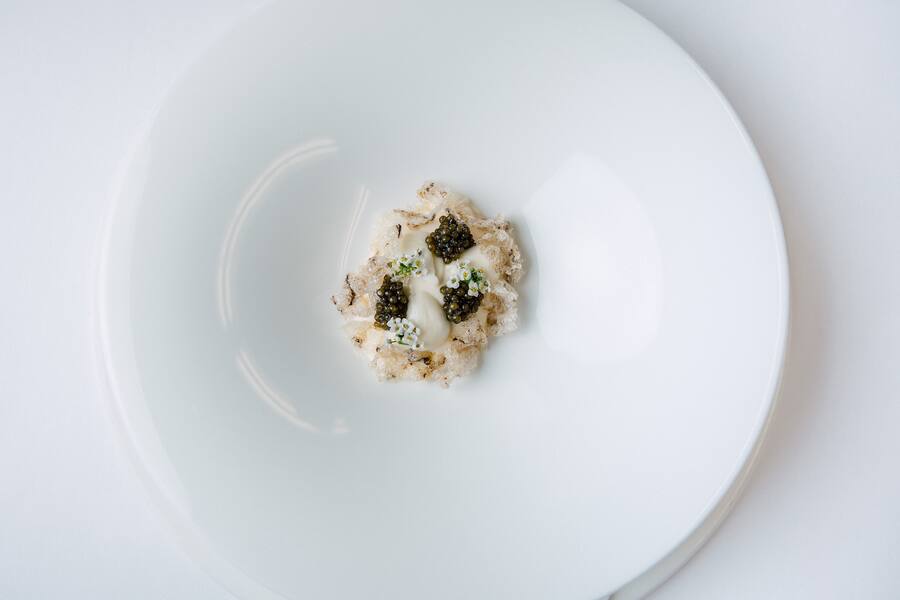 Rauchaal Seegurke Peter Gilmore