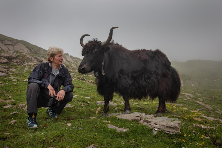 Yak-Züchterin Regula Oehrli