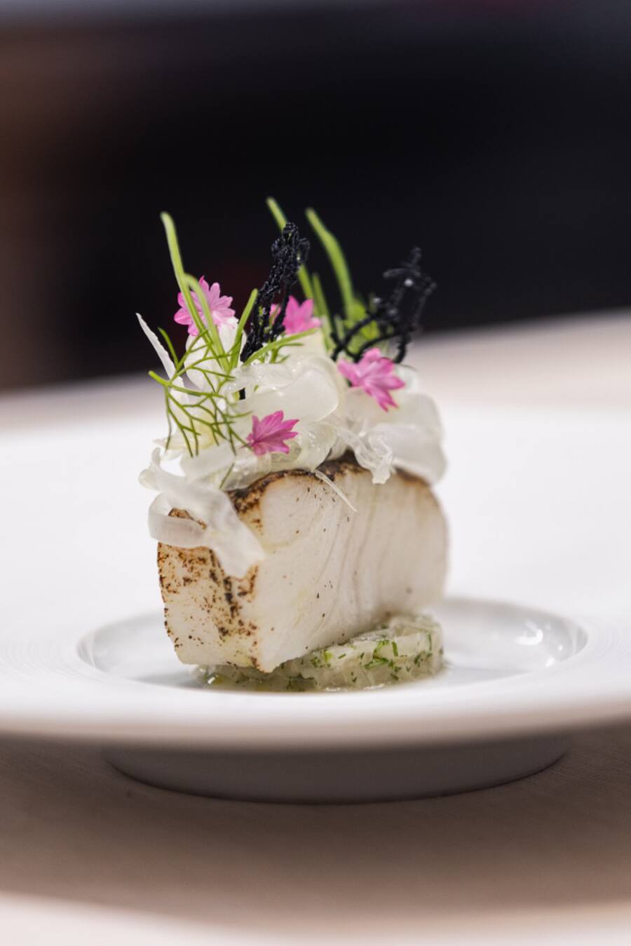 Schwarzer Seehecht, mild gegart und flambiert mit Fenchel und einer Beurre blanc von geräucherter Jakobsmuschel