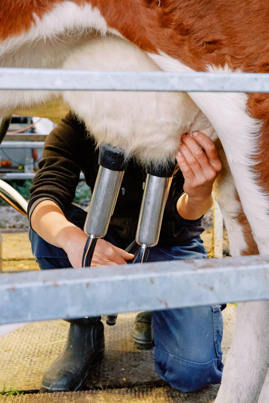 Sennerei Stafelalp Zermatt