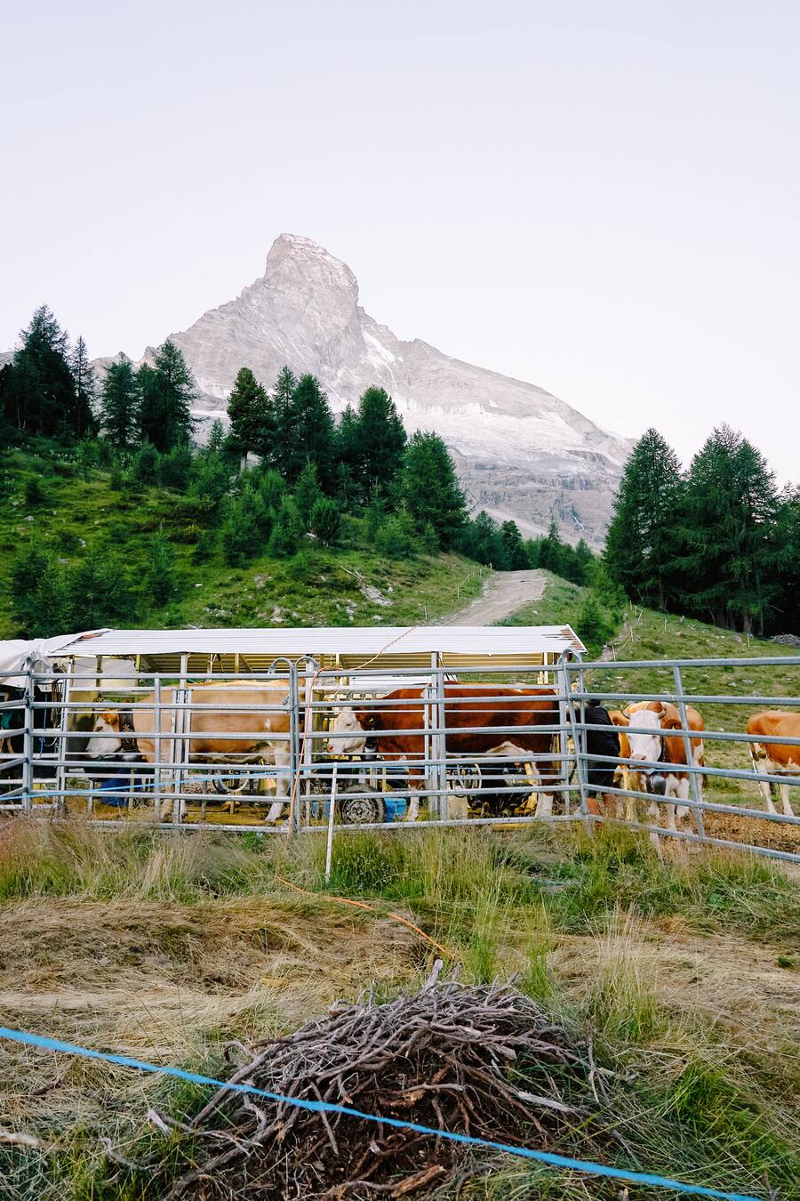 Sennerei Stafelalp Zermatt