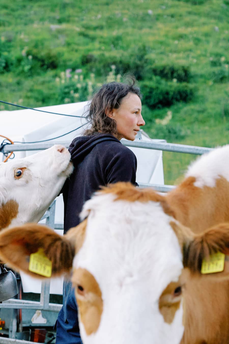 Sennerei Stafelalp Zermatt