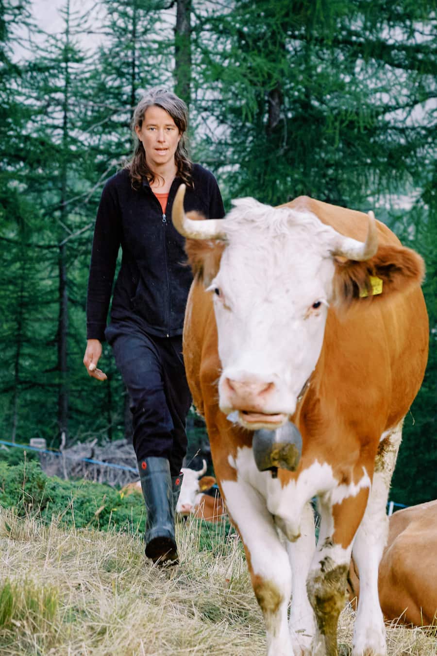 Sennerei Stafelalp Zermatt