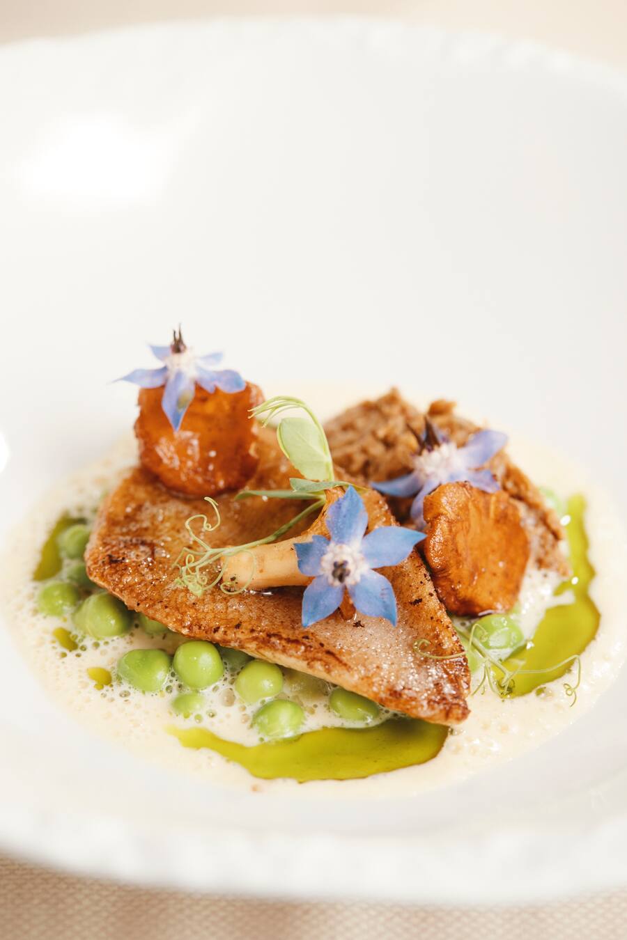 Teller: Gebratenes Eglifilet aus dem LötschentalGartenerbsen / Beurre Blanc / EierschwämmliSeerestaurant BelvédèreSeestrasse 18 A6052 HergiswilChef: Fabian Inderbitzin