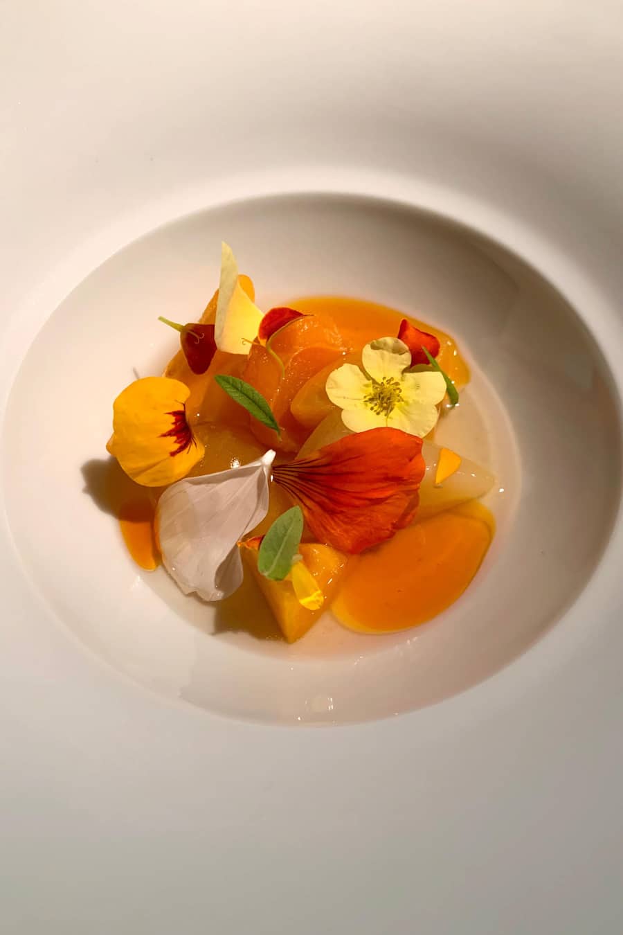 Andreas Caminada Gericht Aprikose, Joghurt 2022