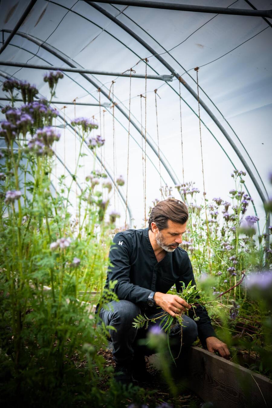 Andreas Caminada im Gewächshaus