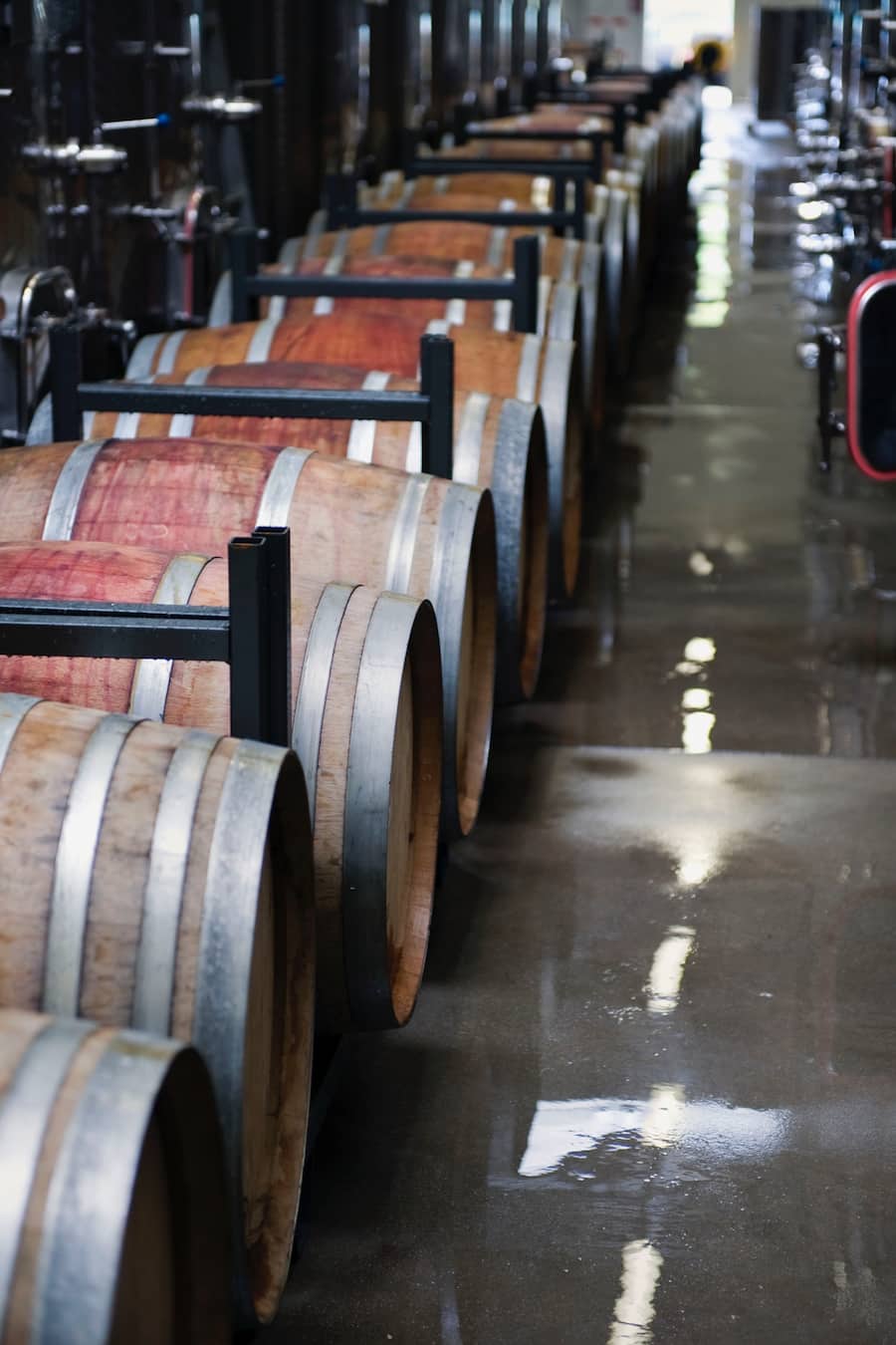 gereinigte Barriques stehen zwischen Inoxtanks in der Cave de Genève