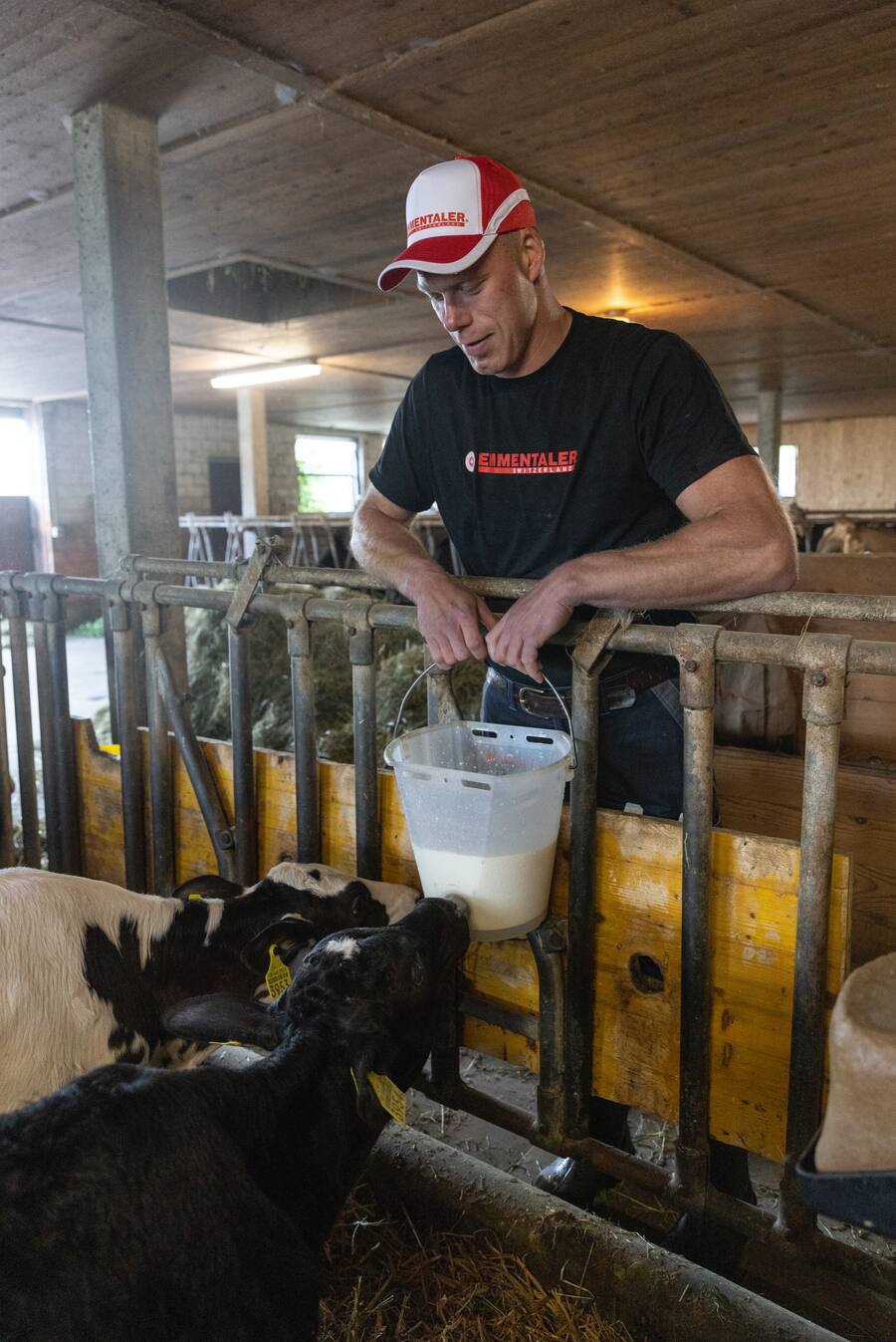 Emmentaler Käse Geschichte mit Matthias Sempach in Käserei Mosigen 2022