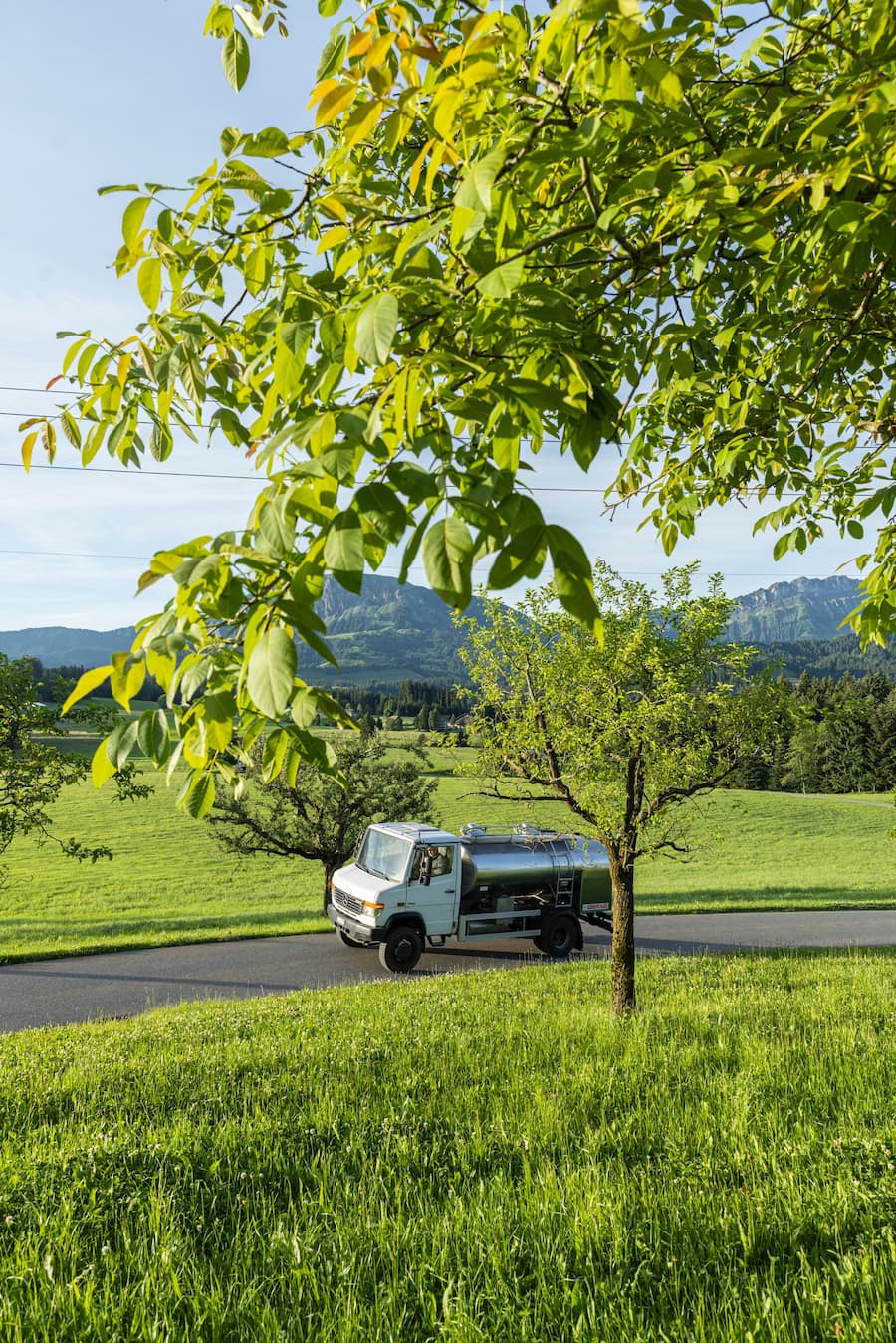 Emmentaler Käse Geschichte mit Matthias Sempach in Käserei Mosigen 2022