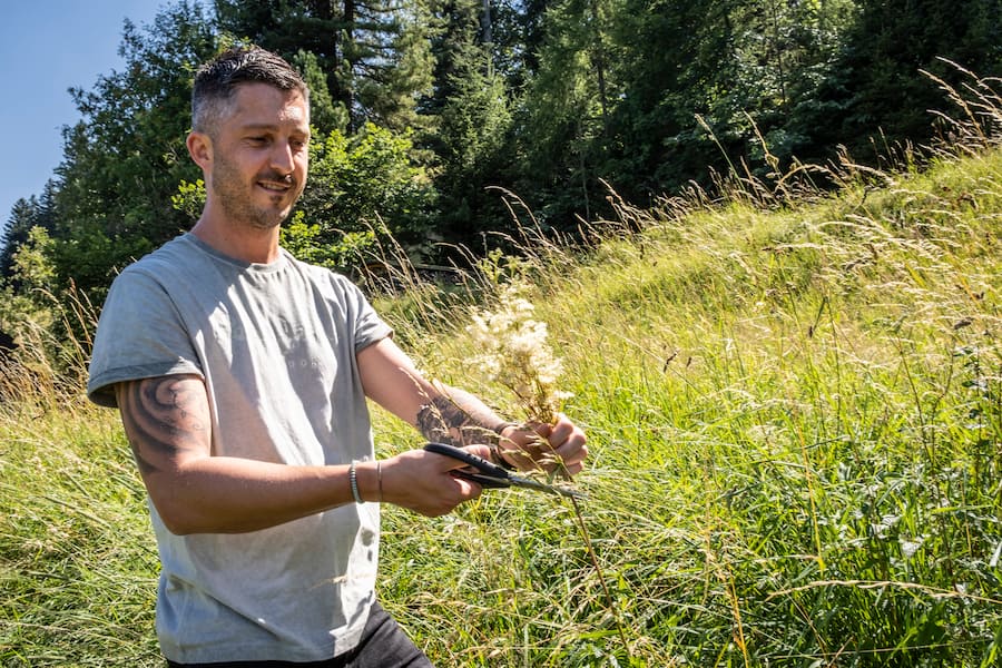 Jérémie Cordier cueillette sauvage Les Cerniers