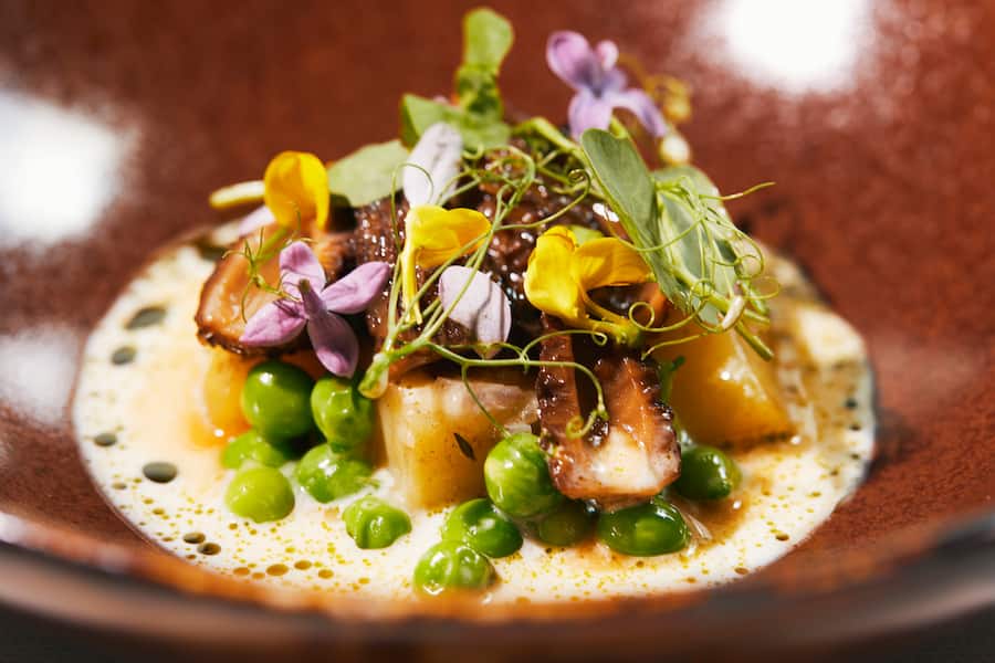 Rezept Kartoffel / Sbrinz / Morcheln / Erbse. Pascal Steffen, Koch Restaurant Roots, Basel, 04.04.2022