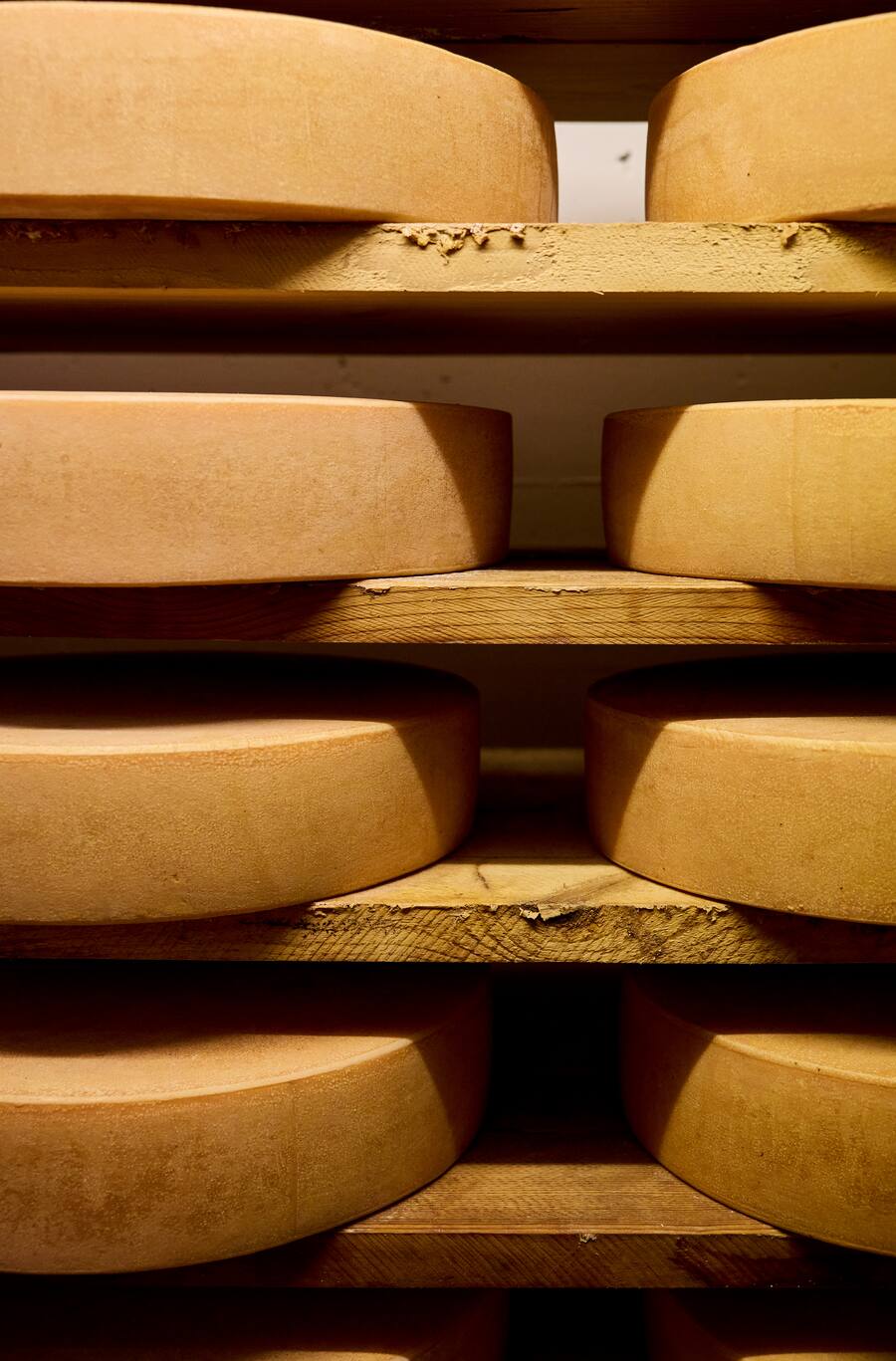 Käselagerung Käselaibe Sbrinz AOP 2022