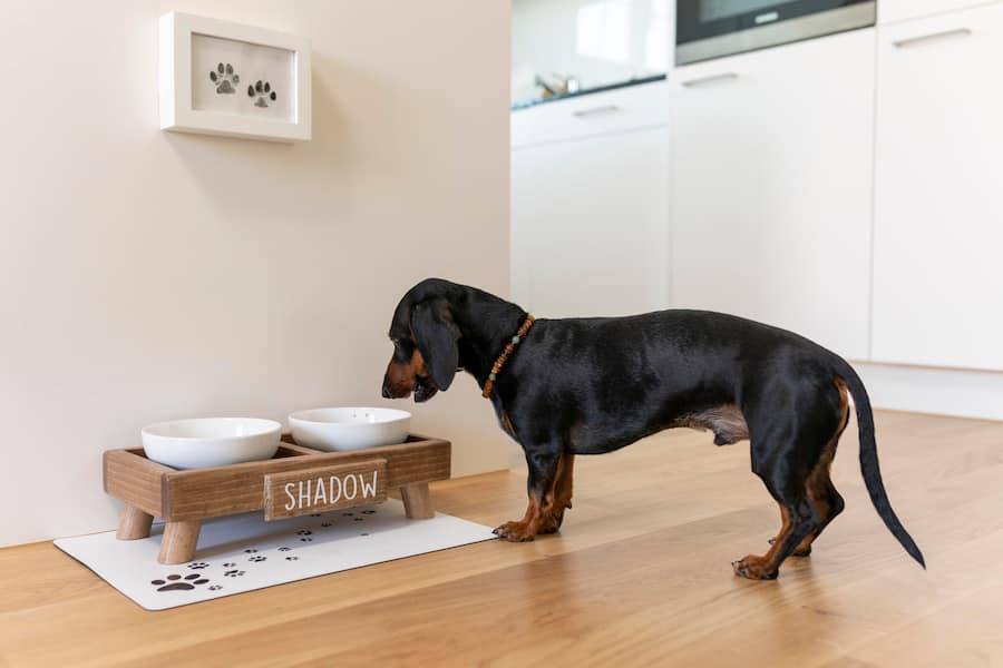 Anja Leuenberger, kocht bei sich zuhause in Adliswil