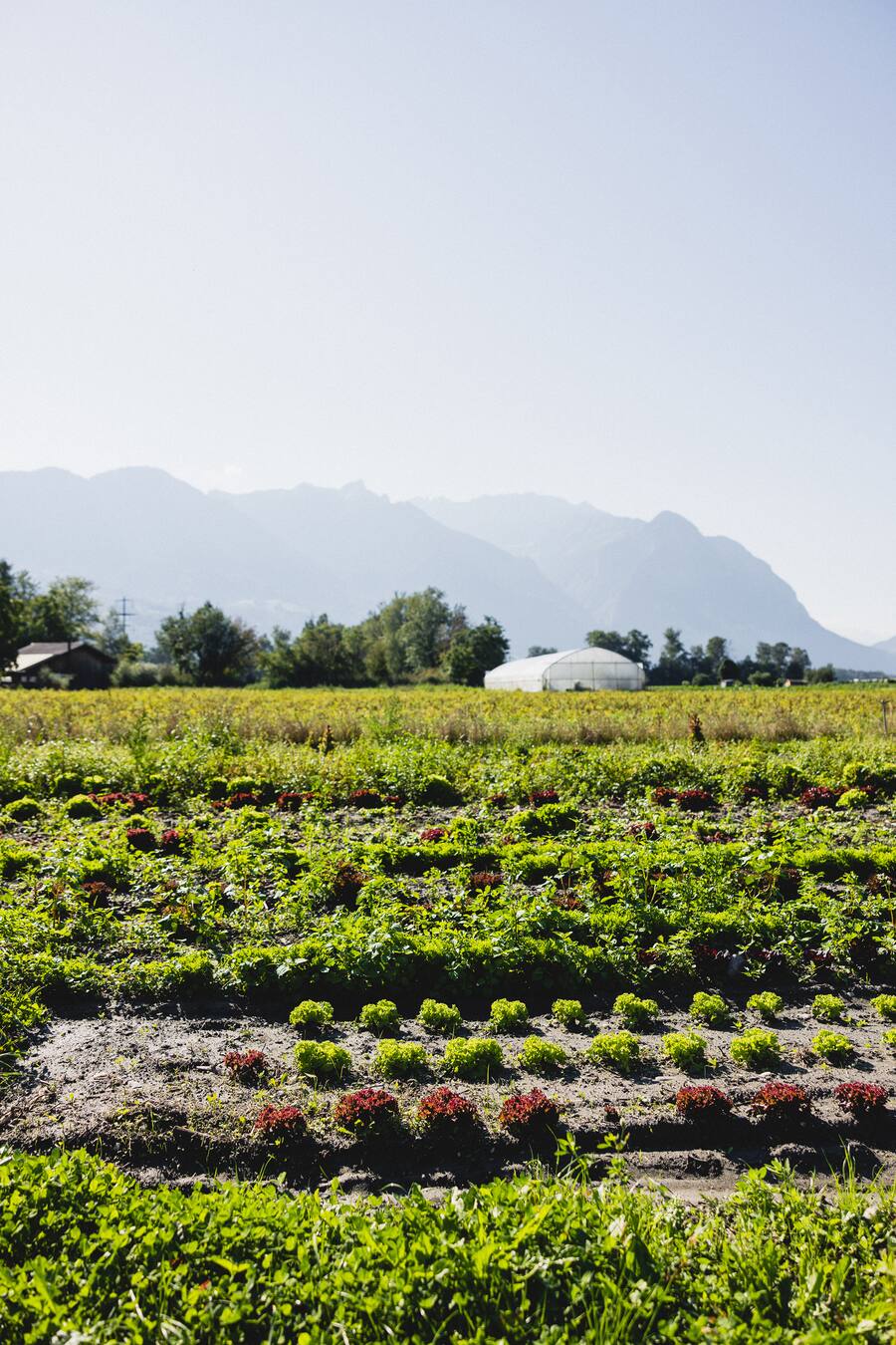 Sven On Tour, Sven Wassmer, Mercedes-Benz, Bünder Herrschaft, Böschnihof