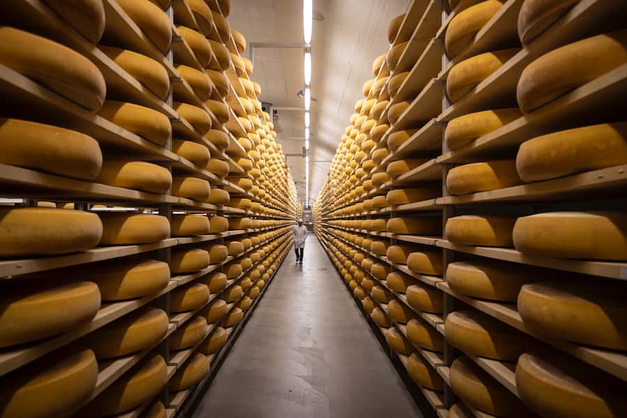 Emmentaler AOP Gourmino 2022