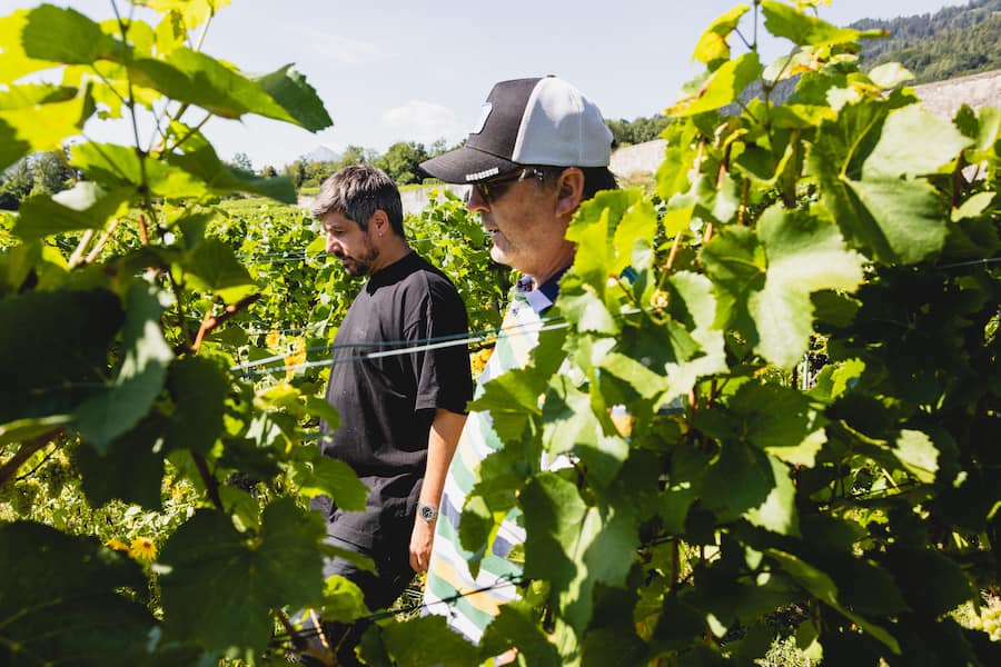 Sven On Tour, Sven Wassmer, Mercedes-Benz, Bünder Herrschaft, Liesch Bioweine, Louis-Heinz Liesch, Demeter, Pionier