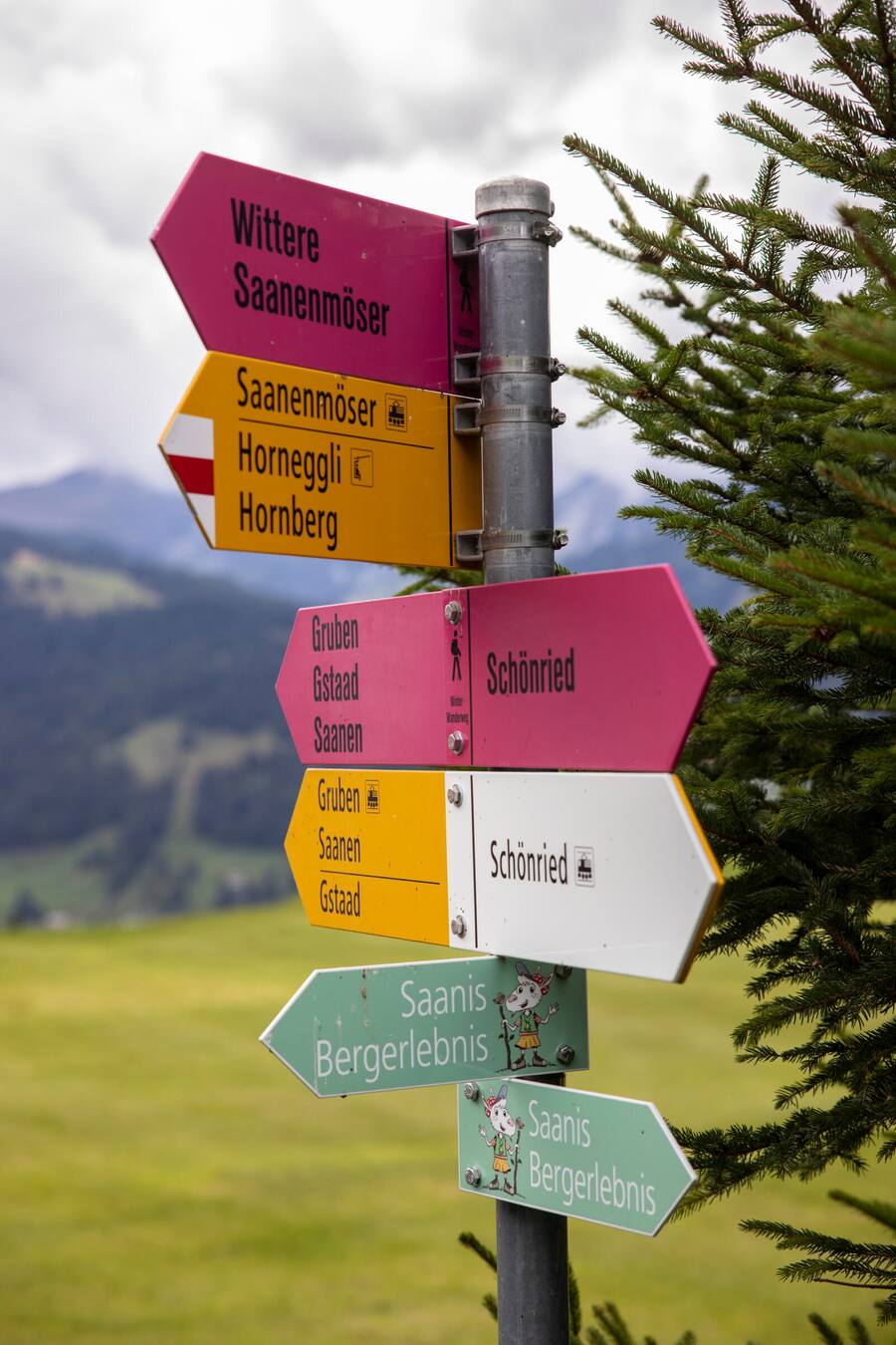 Mike von Grünigen, Ex-Skifahrer; Bruno Kernen, Ex-Skifahrer und Hotelier