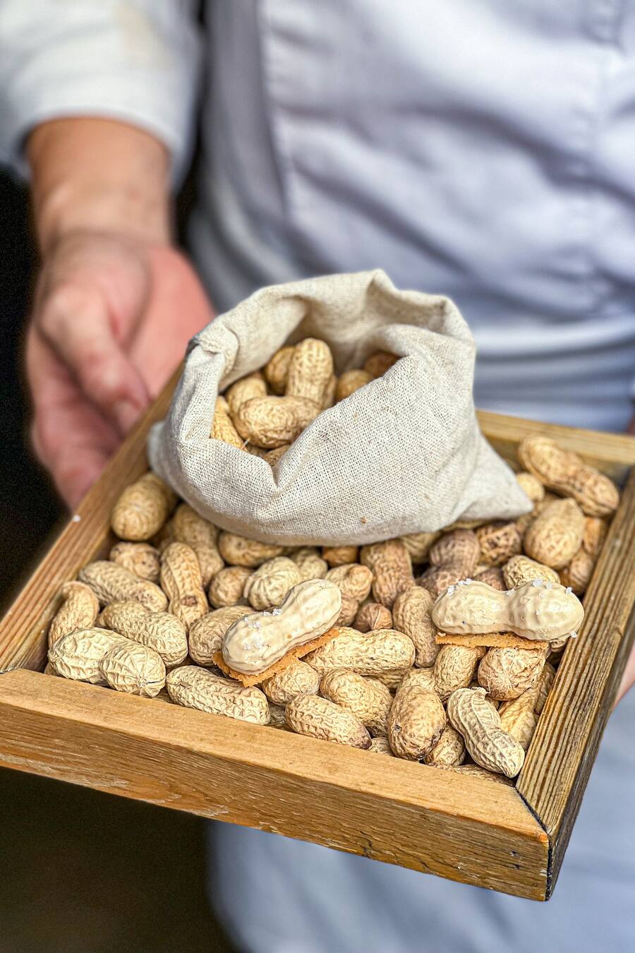 Amuse Bouche Alan Geaam