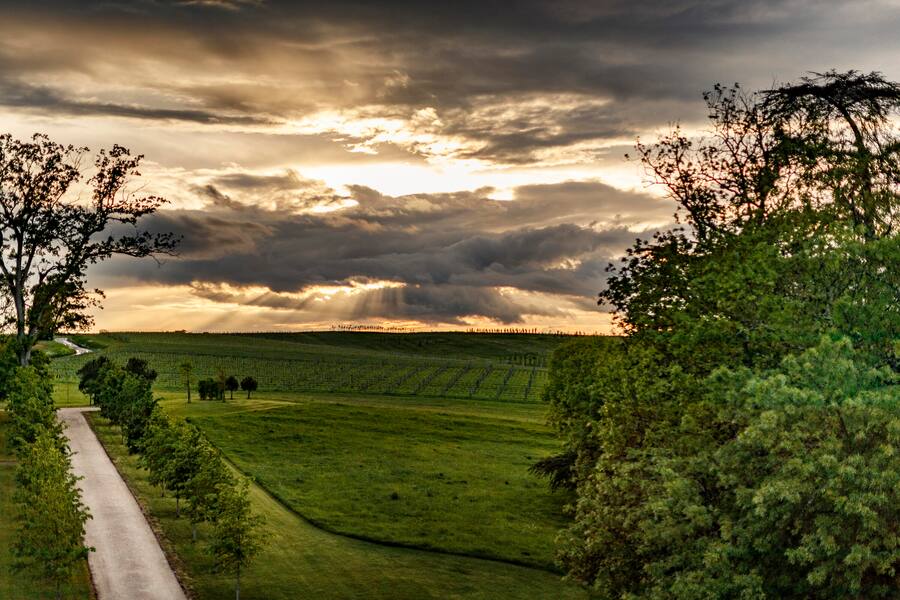 Karl-Friedrich Scheufele und seine Frau Christine, Château Monestier La Tour, Weingut in Frankreich. HO via Chandra Kurt, Byline Fotograf Jacopo Salvi