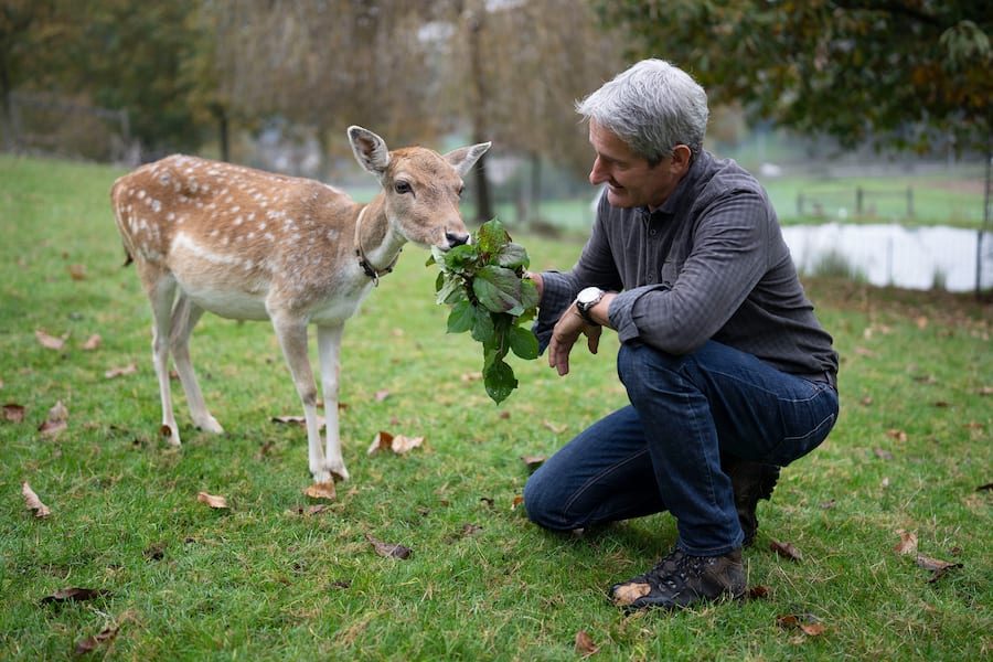 12.06.2022; Wetzikon: Gourmethirsch.ch Portrait Felix Holenstein; Felix Holenstein mit einer Hirschkuh in der Zucht in Wetzikon. © Valeriano Di Domenico