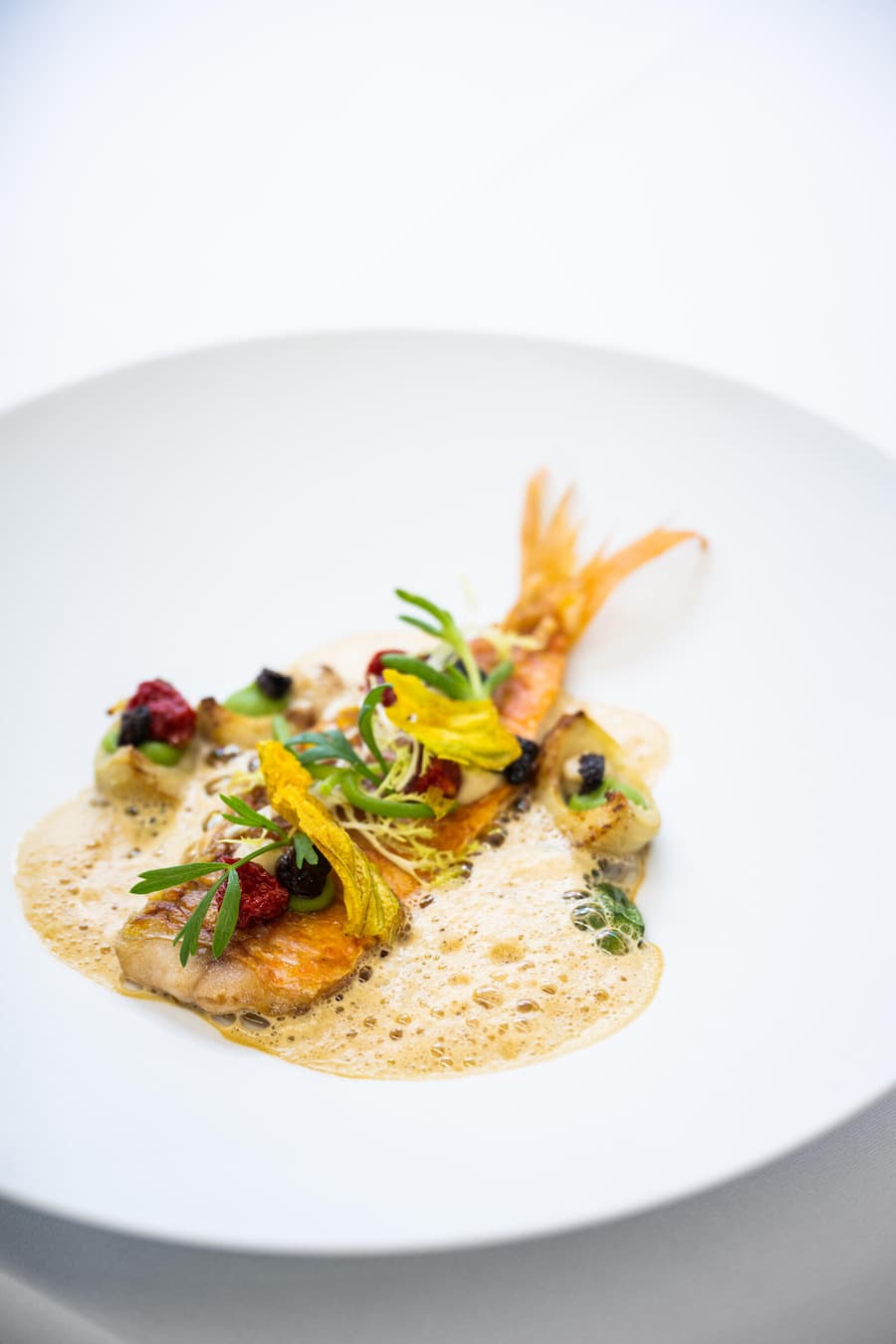 Stefan Jäckel 2022: Carabinero, Tom Yan, Koriander