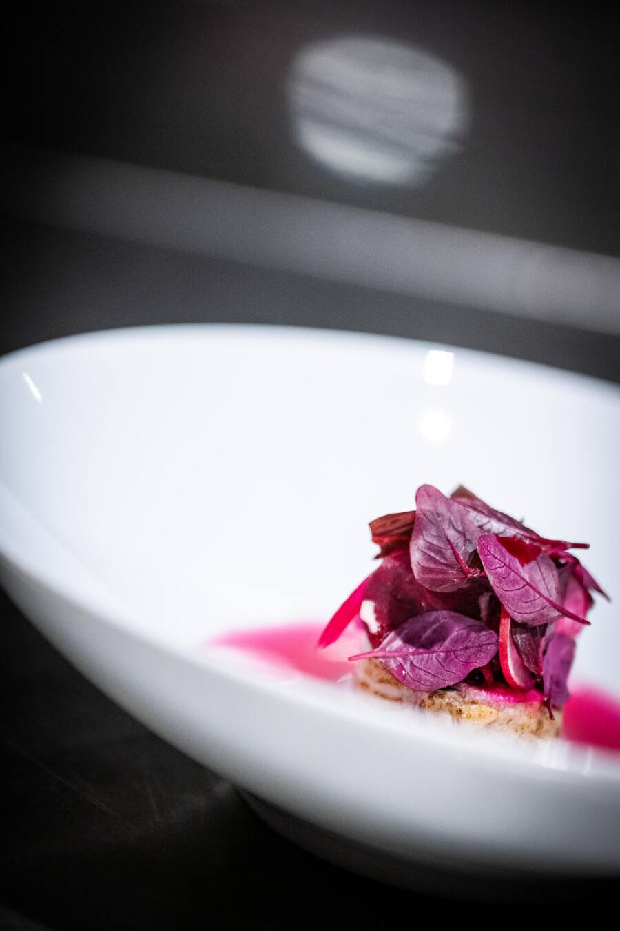 Caminada-Magzin Launch-Party 2022