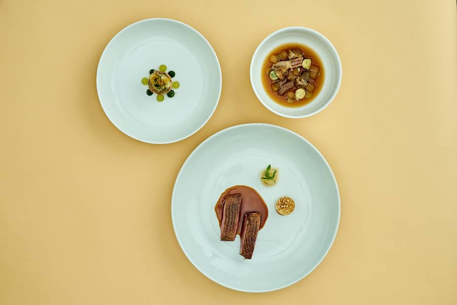 HO Pressebilder Byline Nils Hasenau