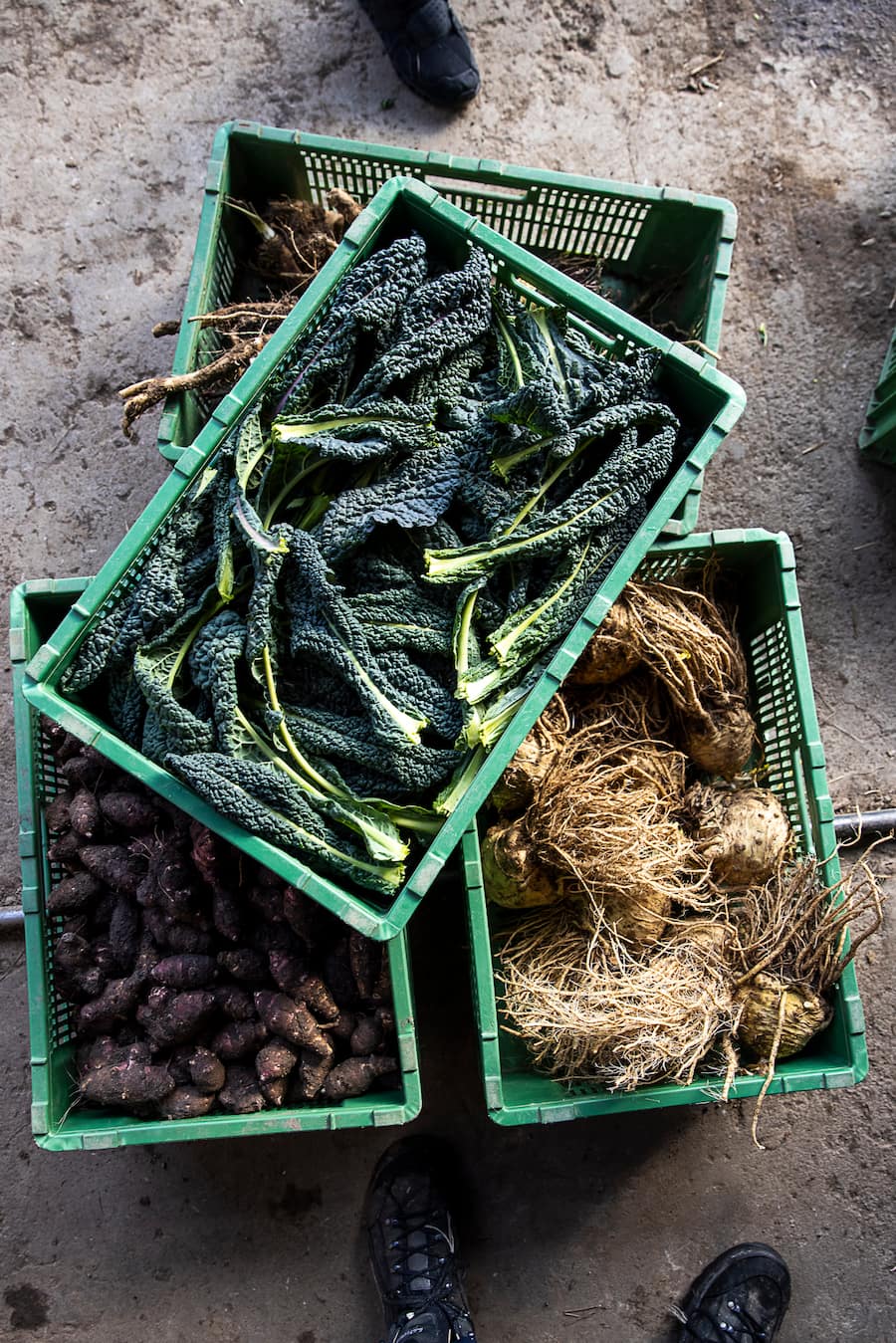 Zineb Hattab Kle Zürich