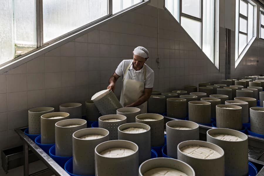 Gorgonzola producers Giuseppe and Giorgio Pedretti in their dairy in Robecco sul Naviglio Einmalige Nutzung für GaultMillau-Channel, Honorar 200 CHF