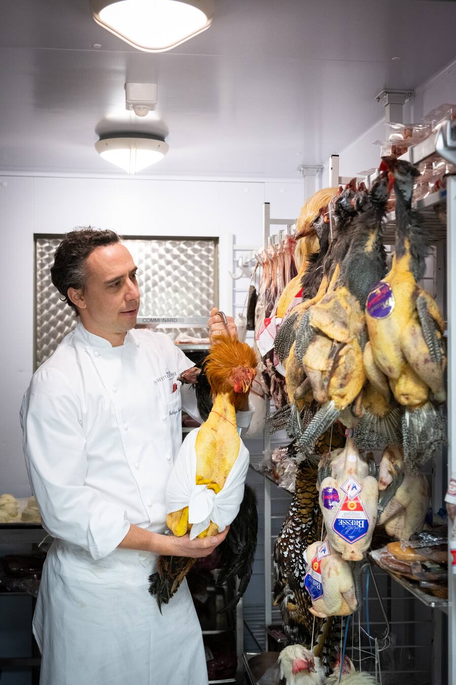 St.Moritz Spezial 2022: Fabrizio Zanetti