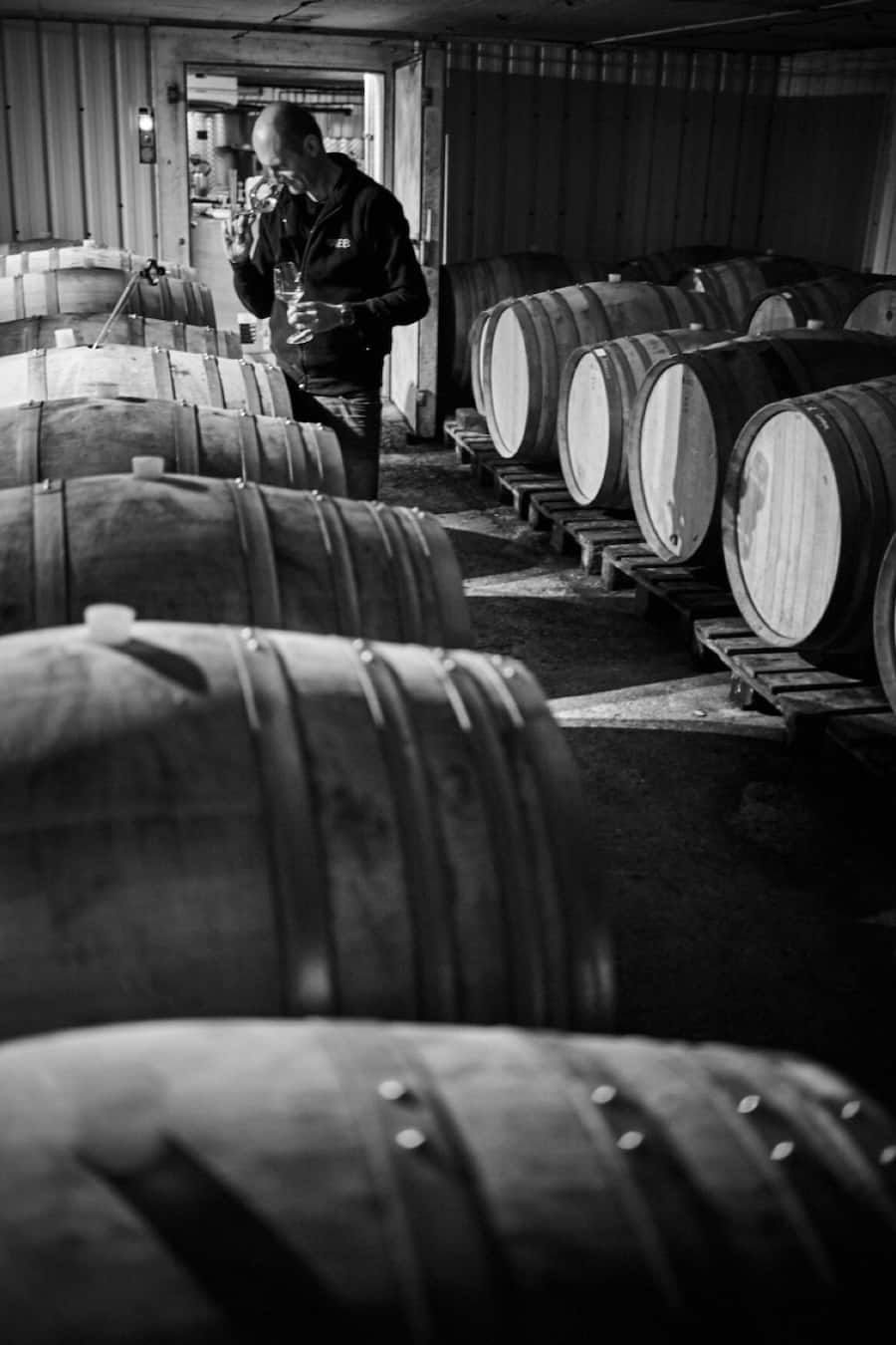 VERTICAL Thierry Constantin Swiss Wine Valais