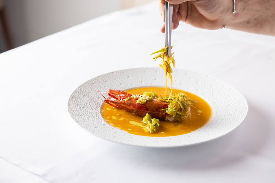 Langoustine Tomer Tal