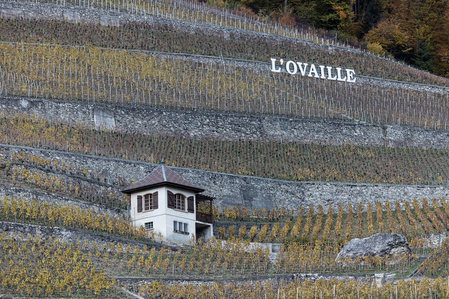 Der Erfolg hat einen Namen Charles Rolaz GaultMillau