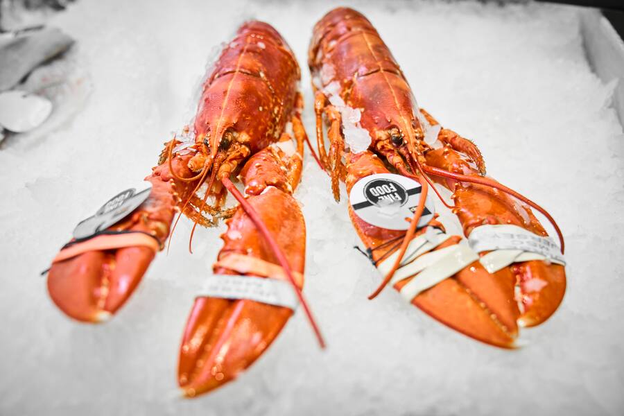 Hummer, Coop Oberwil BL, 14.02.2023, Foto Lucia Hunziker