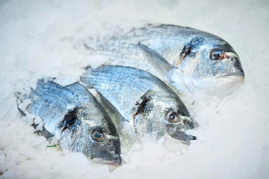 Dorade, Coop Oberwil BL, 14.02.2023, Foto Lucia Hunziker