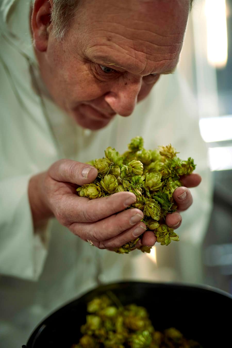 Mönch der Abtei Grimbergen mit Hopfen
