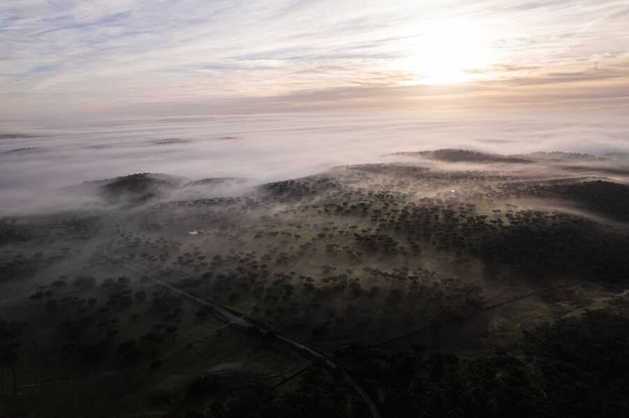 Luma Delikatessen Pata Negra Bauern in Spanien