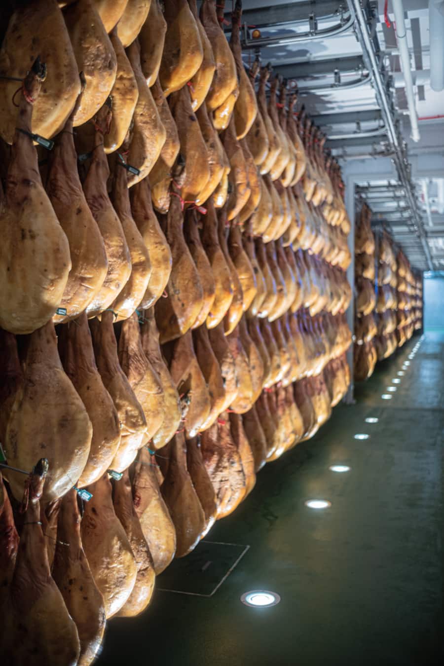 Luma Delikatessen Pata Negra Bauern in Spanien