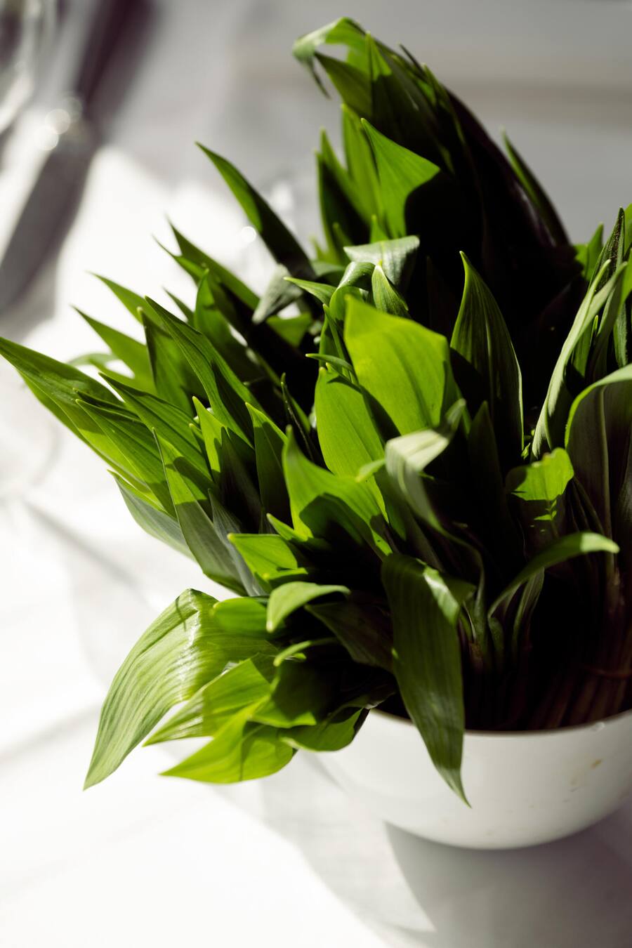 GM_DidisFrieden_Bärlauch