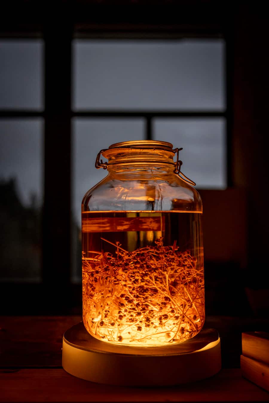 Kräuter Entrée Abendstimmung 4-Hand-Dinner mit Chefs Benedikt Voss, Kräuterhotel Rigi und Carlos Navarro, Rest. Rechberg1837, Zürich