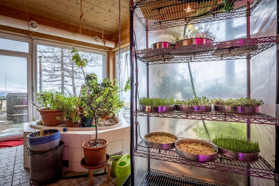 Treibhäuser indoor ehem. Wellnessanlage. 4-Hand-Dinner mit Chefs Benedikt Voss, Kräuterhotel Rigi und Carlos Navarro, Rest. Rechberg1837, Zürich