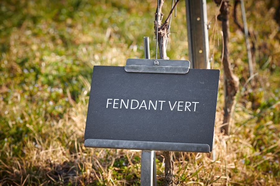 Domaine Colombe Paccot