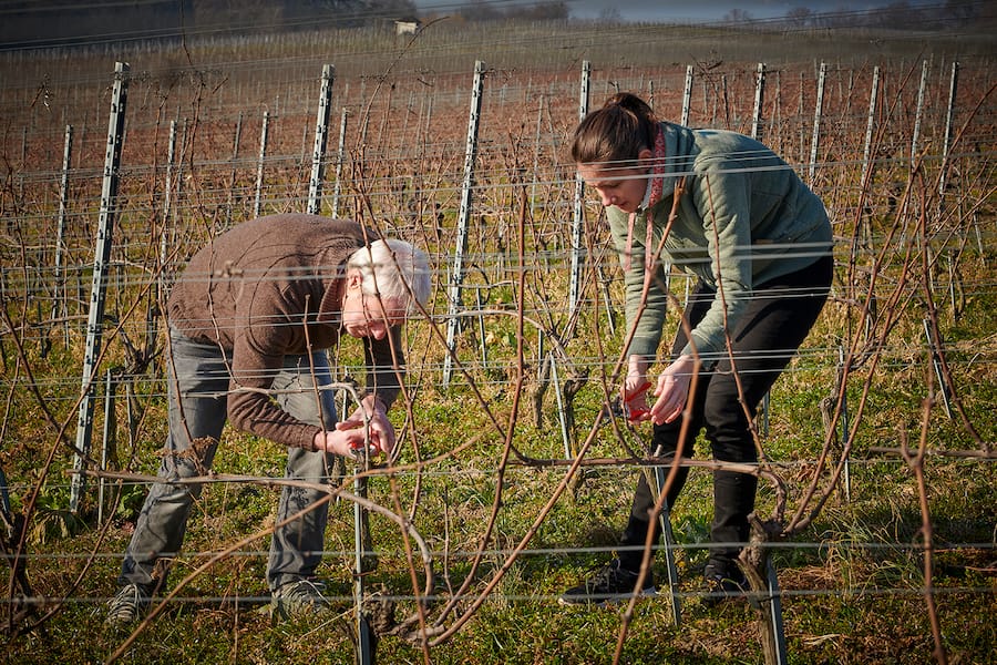 Domaine Colombe Paccot