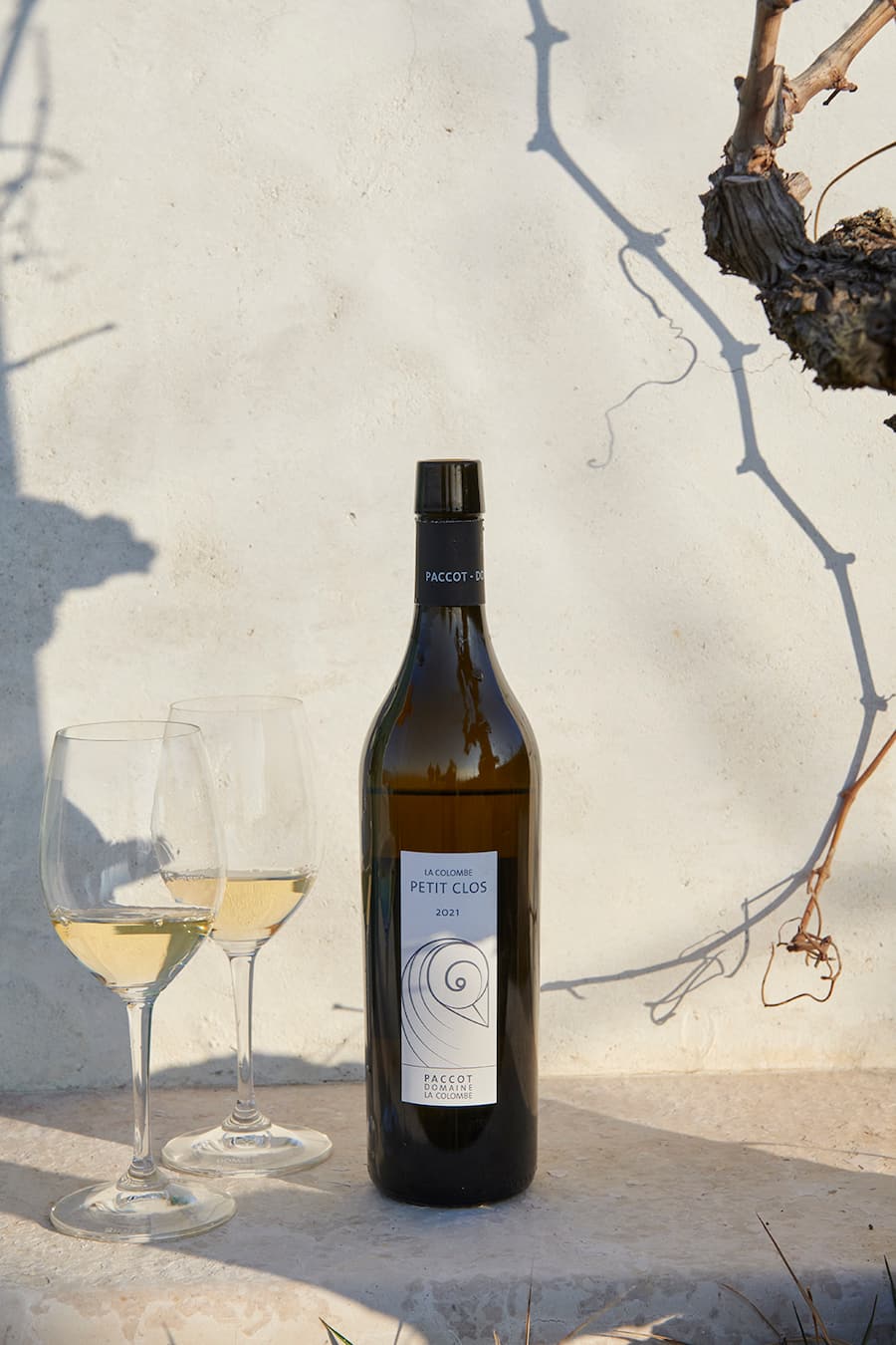 Domaine Colombe Paccot