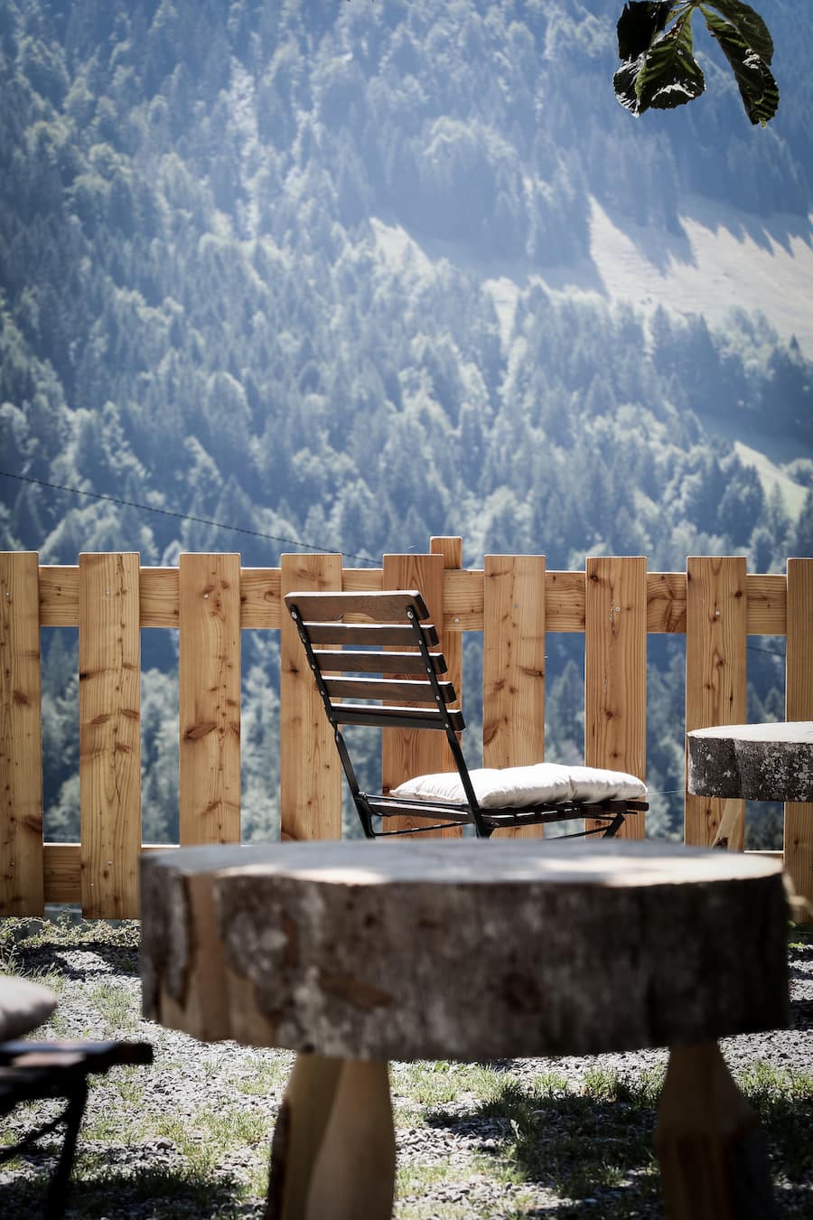 La Pinte des Mossettes