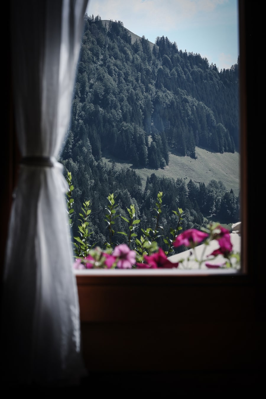 La Pinte des Mossettes