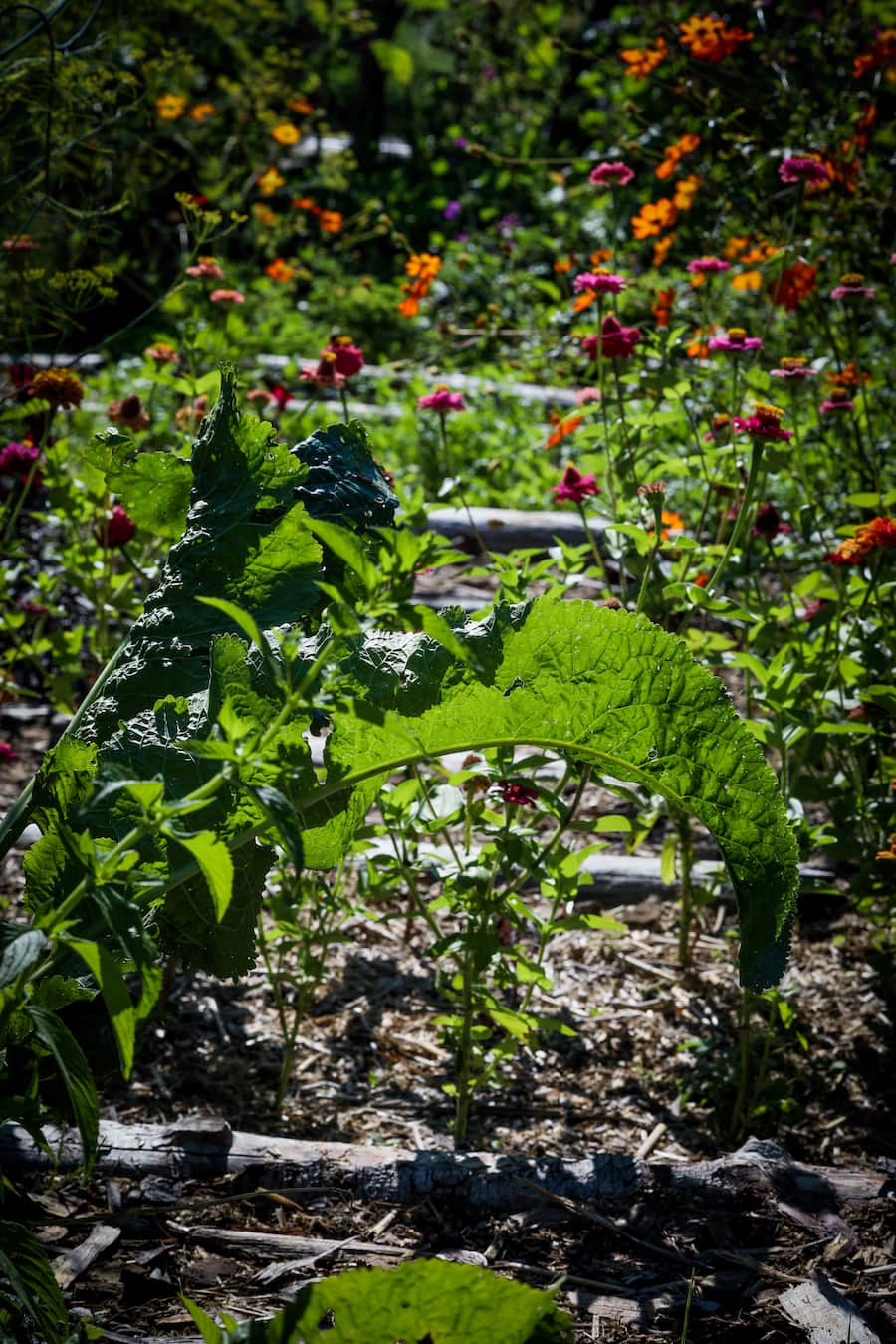 La Pinte des Mossettes