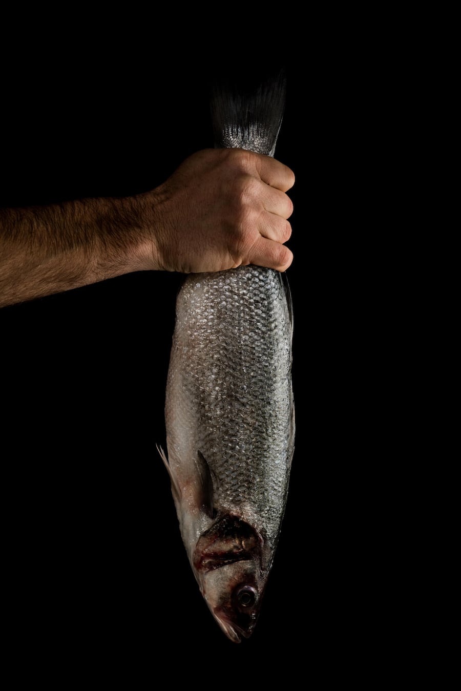 Wolfsbarsch, Loup de Mer - Luma Delikatessen, Seafood Sortiment - Marco Tessaro und Lucas Oechslin - Zürich - Donnerstag, 4.3.2021 - Copyright Olivia Pulver Luma, Seafood, Fisch © Olivia Pulver